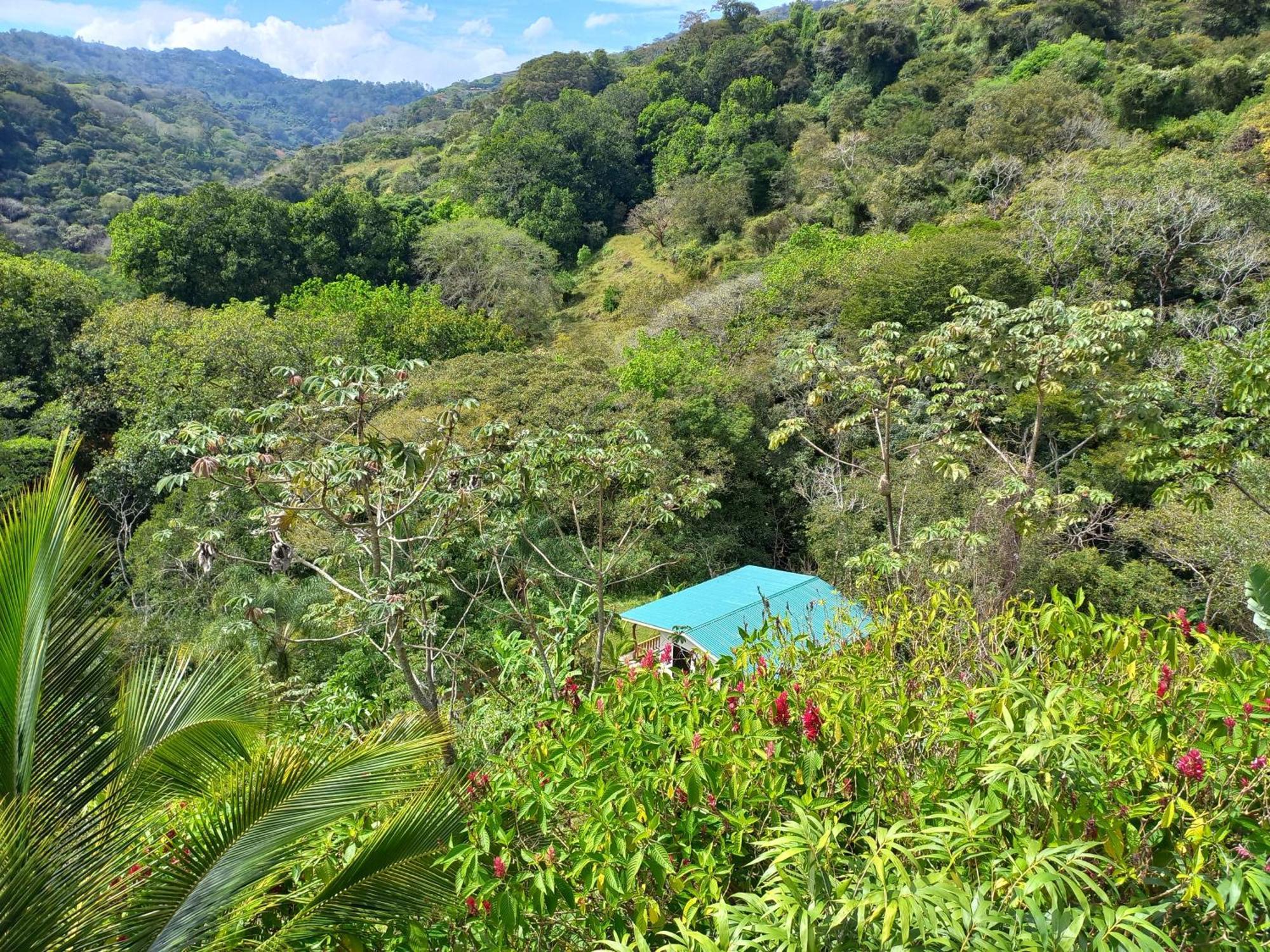 Casa El Colibri Villa Naranjo  Luaran gambar