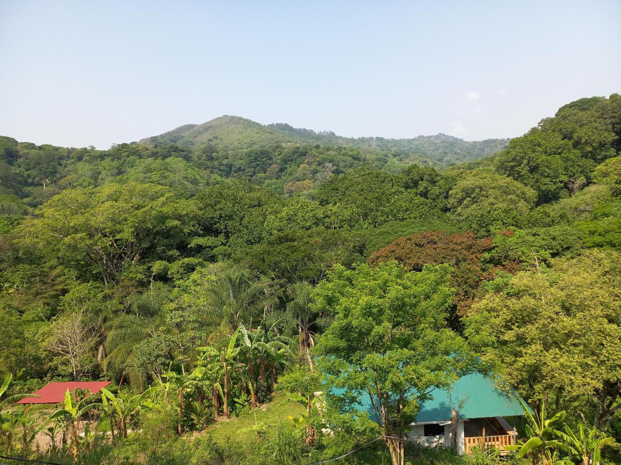 Casa El Colibri Villa Naranjo  Luaran gambar